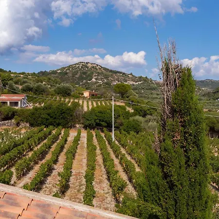 Casa vacanze Amazing In With Kitchen *